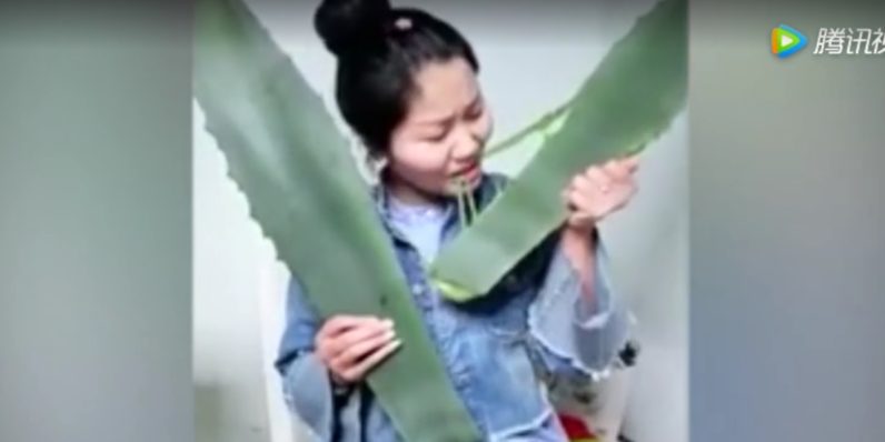 Блогер из Китая, рассказывающая о здоровье случайно отравилась растением во время прямой трансляции