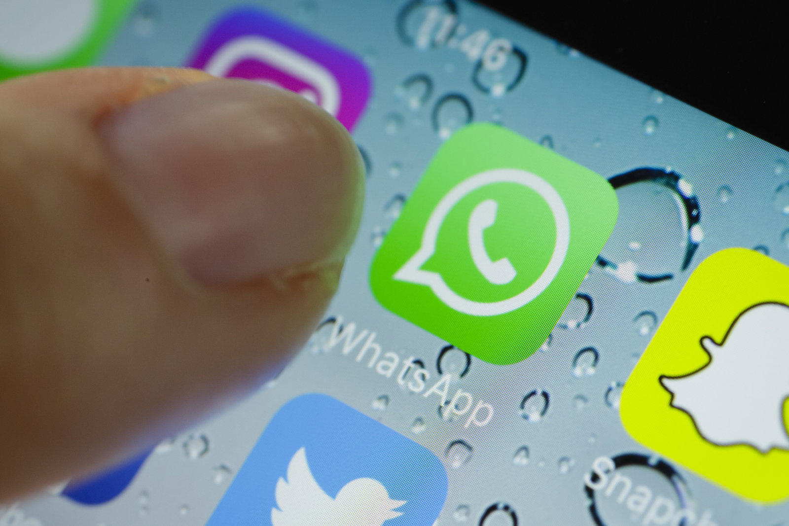 Facebook приостановил обмен данными с WhatsApp в Европе