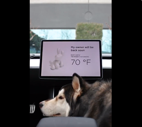 Для автомобилей Tesla добавят «собачий режим»