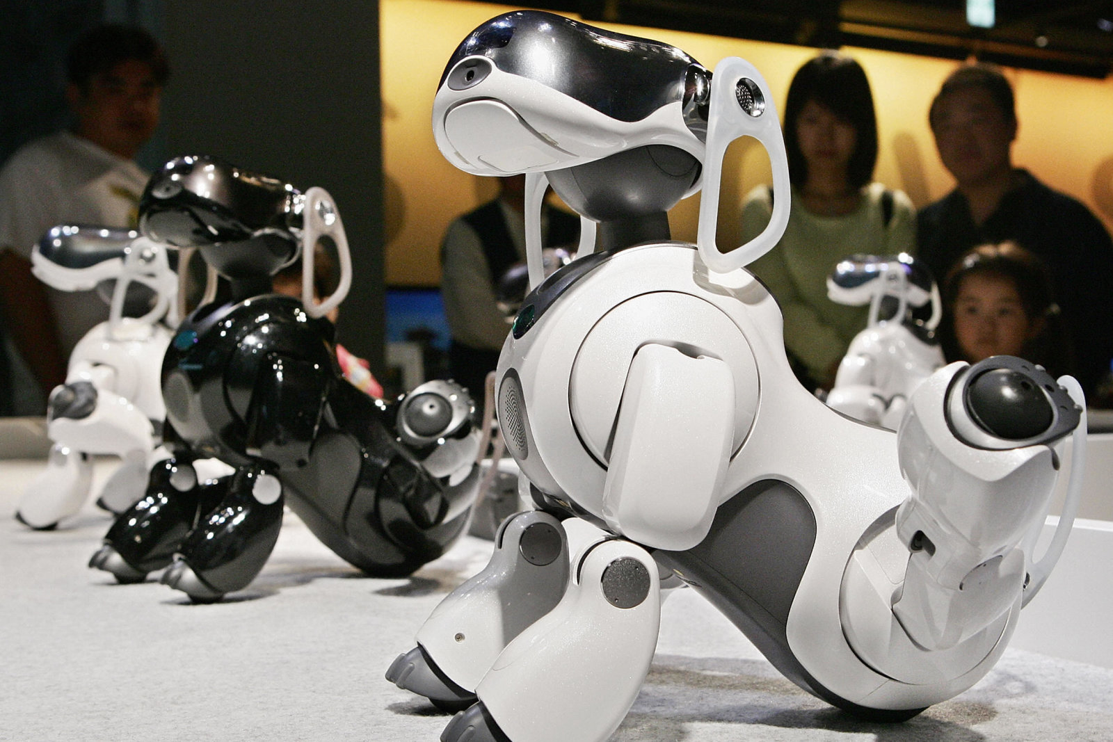 Sony после многолетнего перерыва возобновляет производство роботов, по типу Aibo
