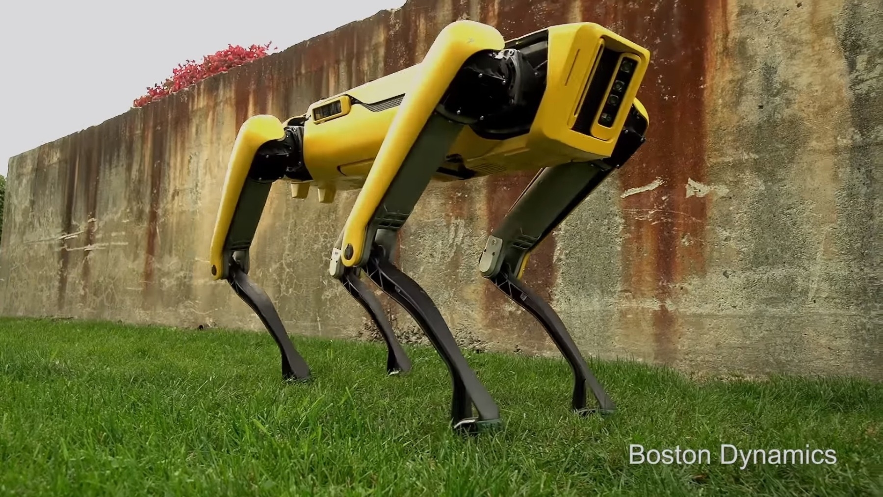Boston Dynamics представила обновленную версию робота SpotMini