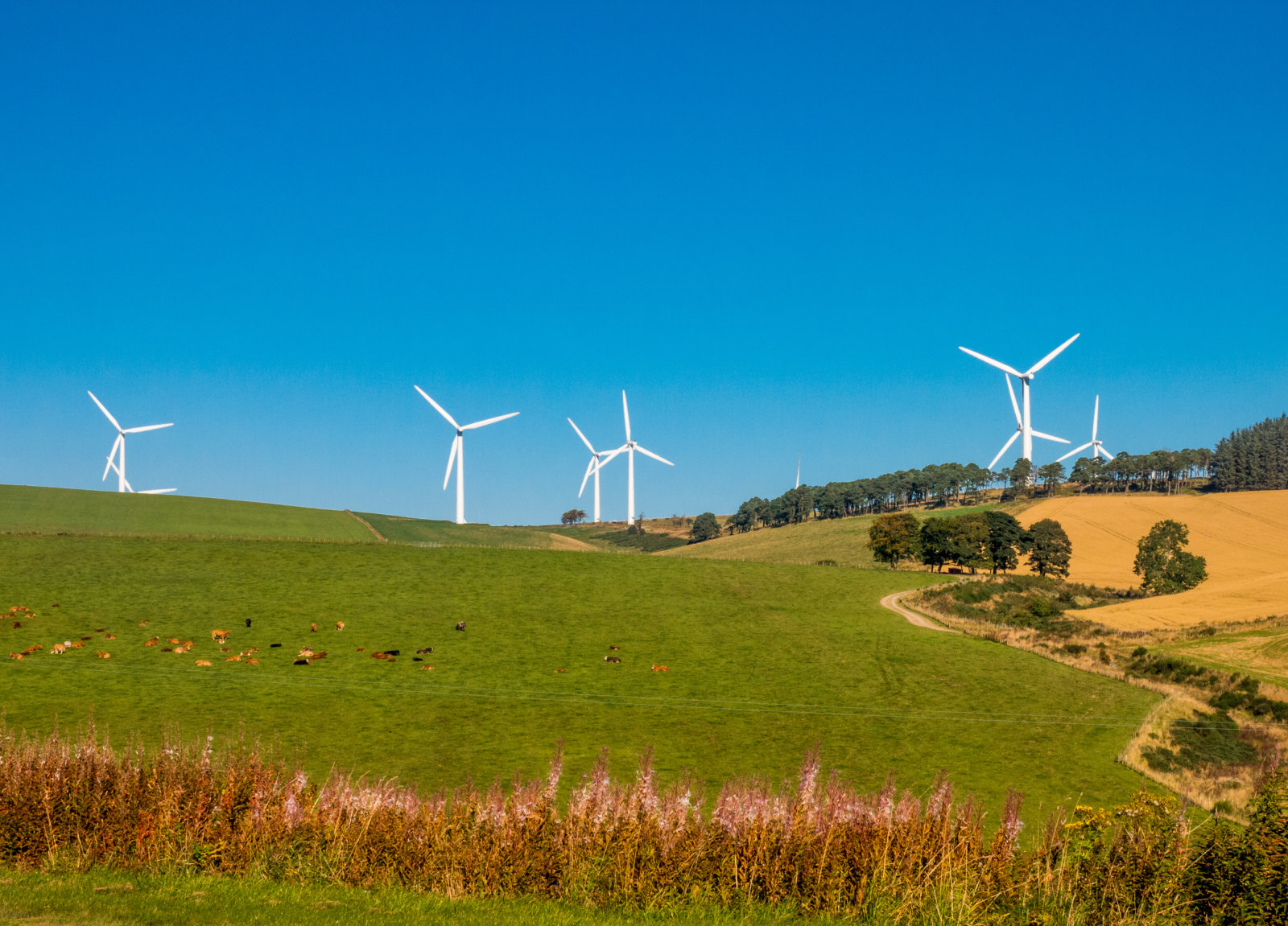 Следующие 15 лет Microsoft будет использовать энергию ирландской ветряной электростанции General Electric