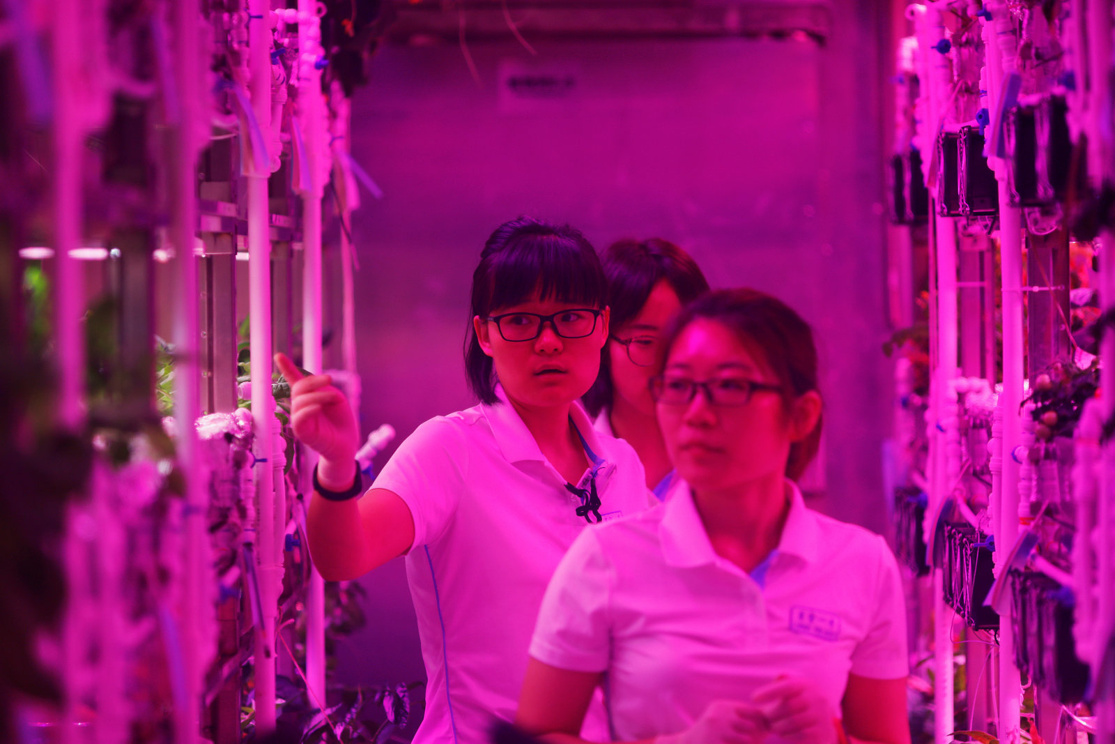 Студенты из Китая начинают 200-дневный эксперимент имитации проживания на другой планете
