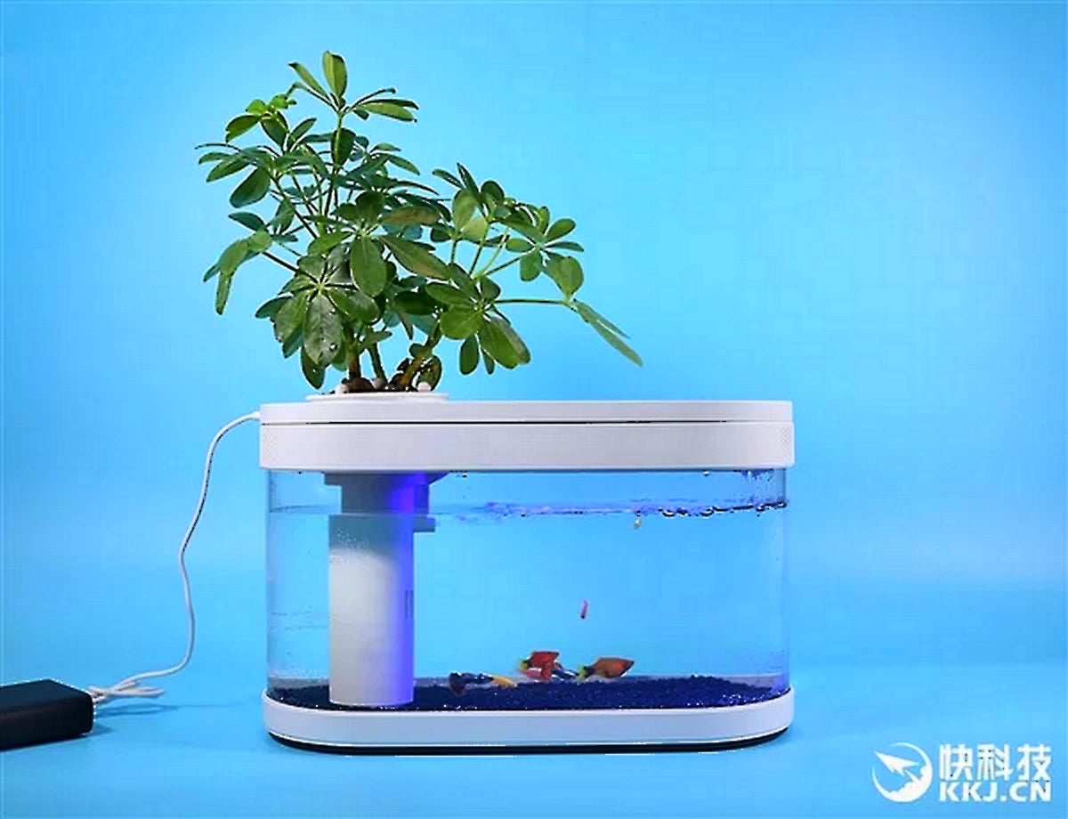 Xiaomi представила очередной неожиданный продукт: аквариум Xiaomi Fish Tank