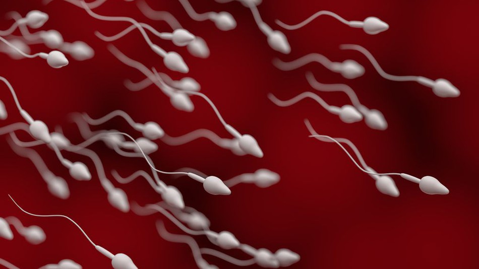 Теперь мужчины могут проверить сперму с помощью смартфона