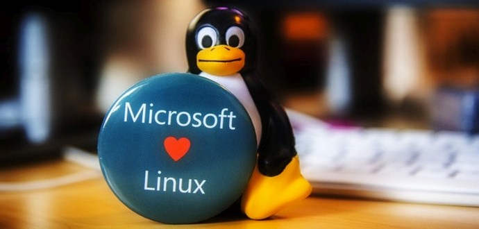 Microsoft вступила в организацию Linux Foundation